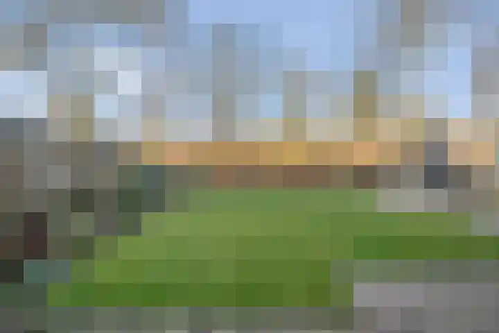 Boterbloem 13 Dalfsen thumbnail 34