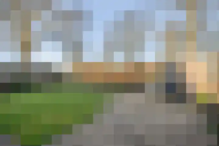Boterbloem 13 Dalfsen thumbnail 35