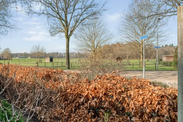 Boterbloem 13 Dalfsen thumbnail 36
