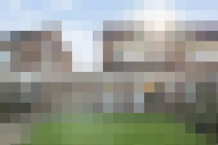 Boterbloem 13 Dalfsen thumbnail 37