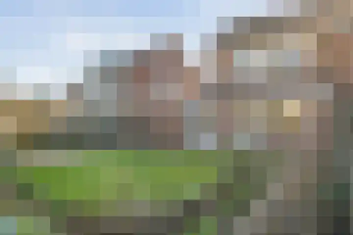 Boterbloem 13 Dalfsen thumbnail 38