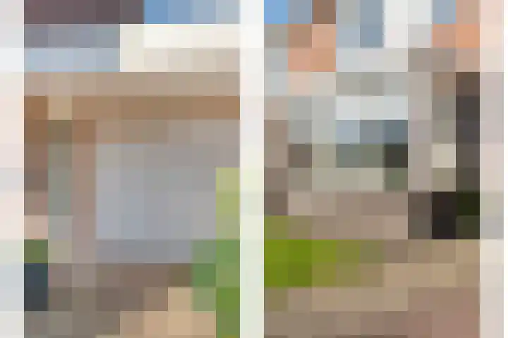 Boterbloem 13 Dalfsen thumbnail 4