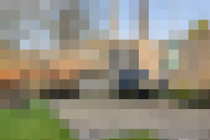 Boterbloem 13 Dalfsen thumbnail 40