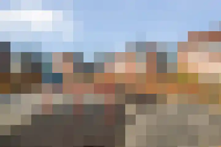 Boterbloem 13 Dalfsen thumbnail 41