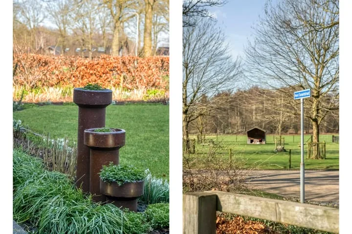 Boterbloem 13 Dalfsen thumbnail 43