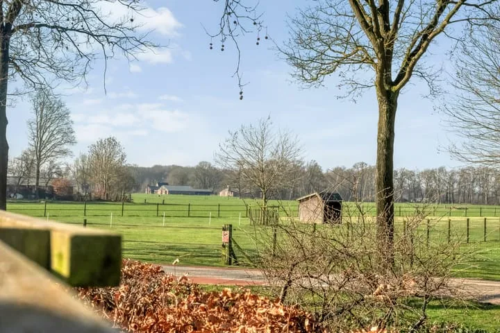 Boterbloem 13 Dalfsen thumbnail 44