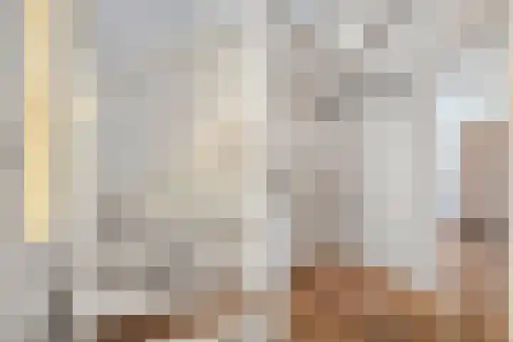 Boterbloem 13 Dalfsen thumbnail 6