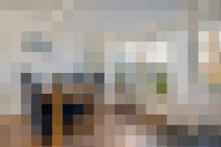 Boterbloem 13 Dalfsen thumbnail 9
