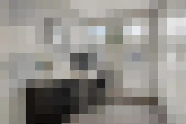 Boterbloem 13 Dongen thumbnail 14