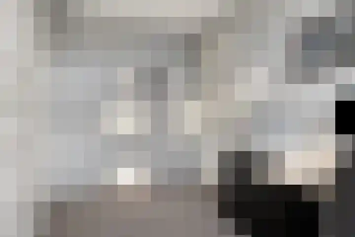 Boterbloem 13 Dongen thumbnail 15
