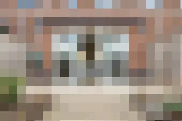 Boterbloem 13 Dongen thumbnail 21