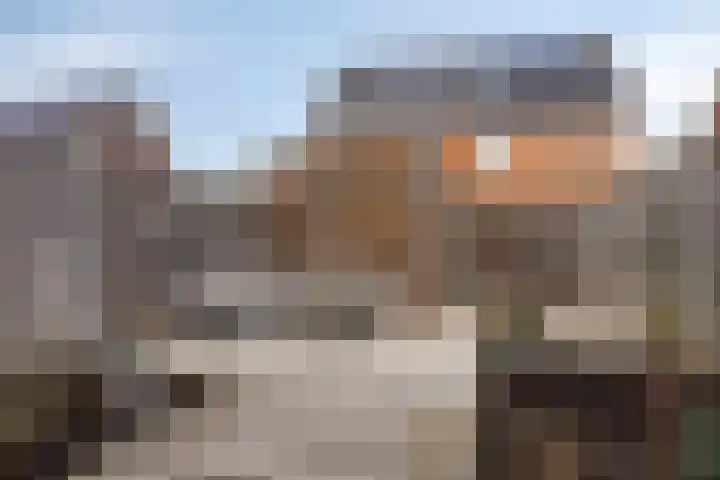 Boterbloem 13 Dongen thumbnail 22