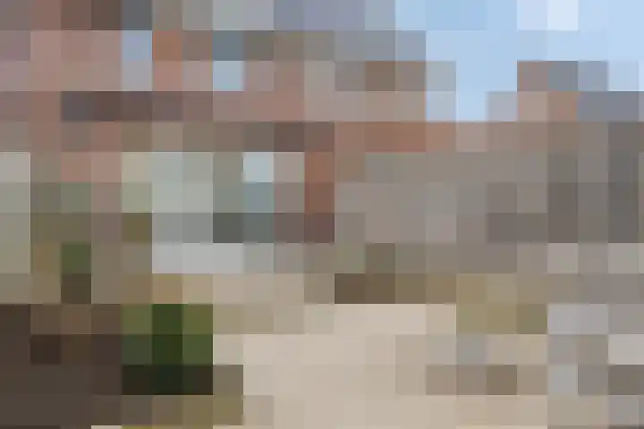 Boterbloem 13 Dongen thumbnail 23