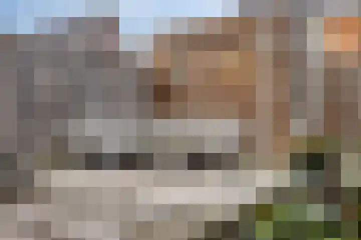 Boterbloem 13 Dongen thumbnail 24