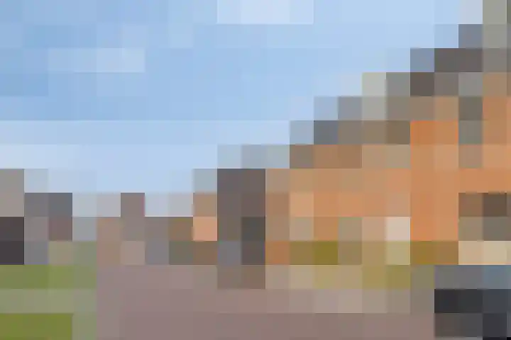 Boterbloem 13 Dongen thumbnail 26