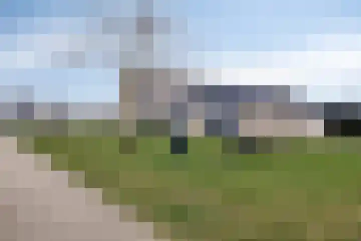 Boterbloem 13 Dongen thumbnail 27
