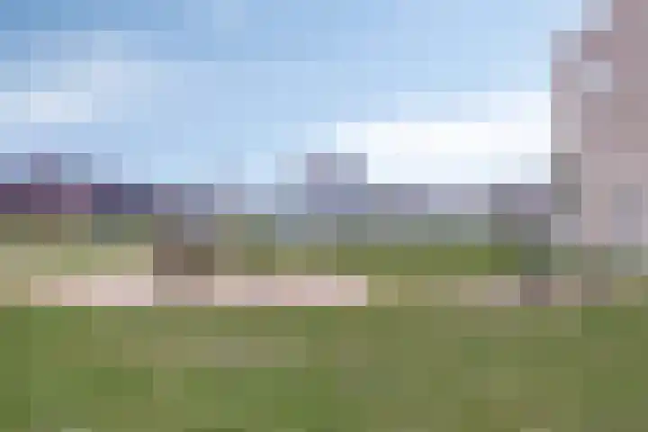Boterbloem 13 Dongen thumbnail 28