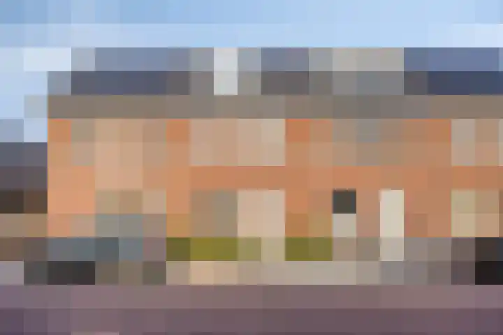 Boterbloem 13 Dongen thumbnail 5
