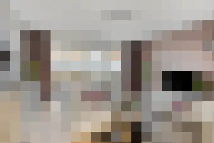 Boterbloem 13 Dongen thumbnail 8