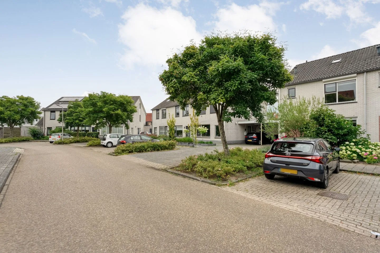 Boterbloem 132 Hardenberg thumbnail 7
