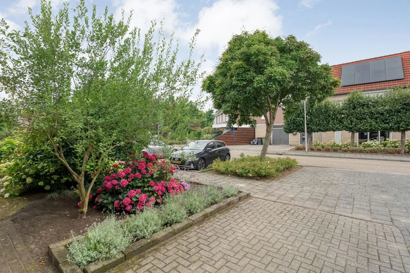 Boterbloem 132 Hardenberg thumbnail 8
