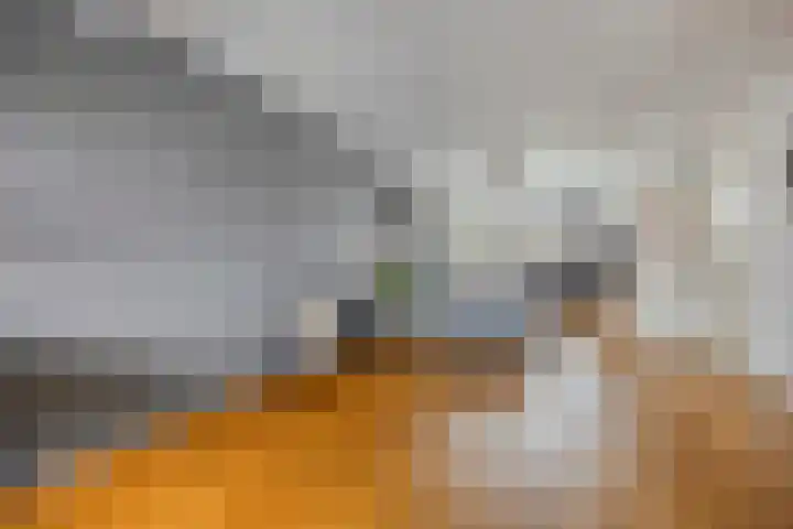 Boterbloem 137 Zwaag thumbnail 10