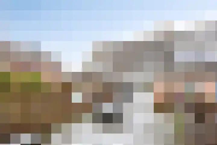 Boterbloem 137 Zwaag thumbnail 17