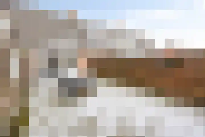 Boterbloem 137 Zwaag thumbnail 30