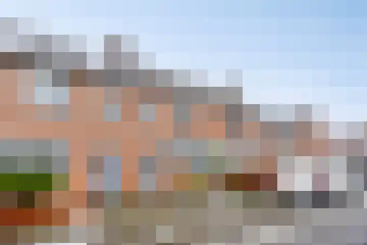 Boterbloem 137 Zwaag thumbnail 5