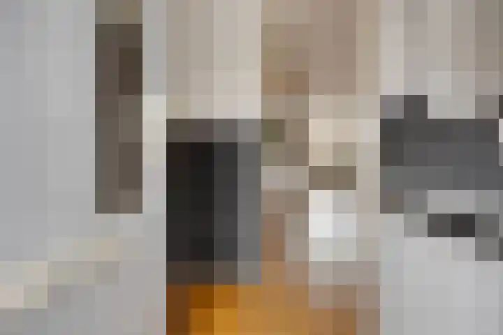 Boterbloem 137 Zwaag thumbnail 7