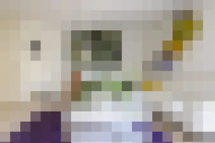 Boterbloem 14 Bodegraven thumbnail 15