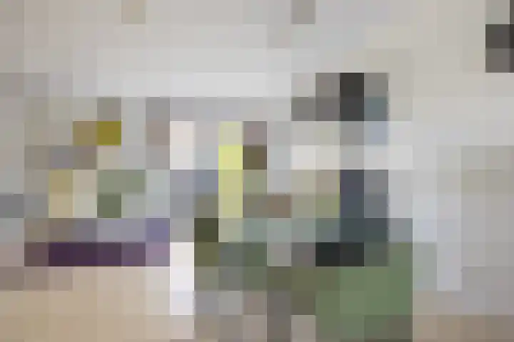 Boterbloem 14 Bodegraven thumbnail 18