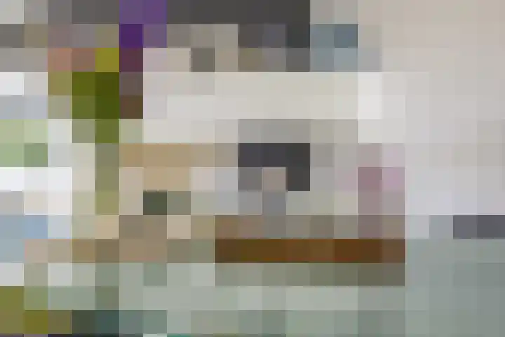 Boterbloem 14 Bodegraven thumbnail 20