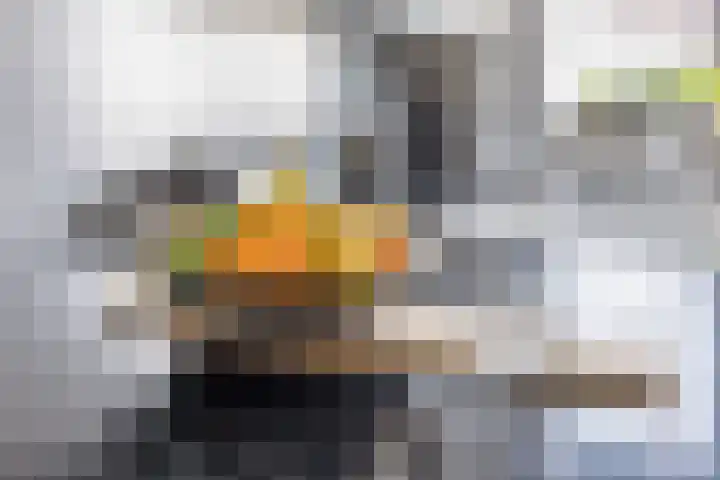 Boterbloem 14 Bodegraven thumbnail 27