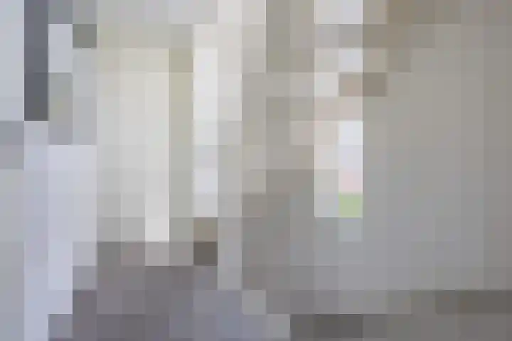 Boterbloem 14 Bodegraven thumbnail 28