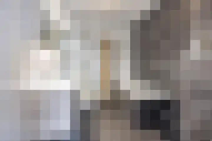 Boterbloem 14 Bodegraven thumbnail 33