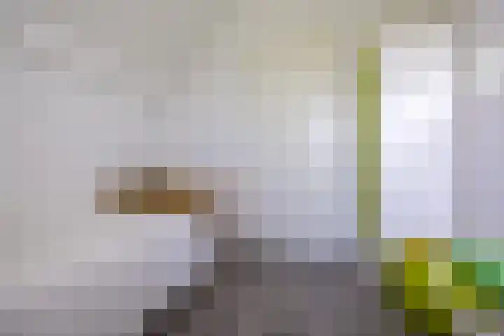 Boterbloem 14 Bodegraven thumbnail 39