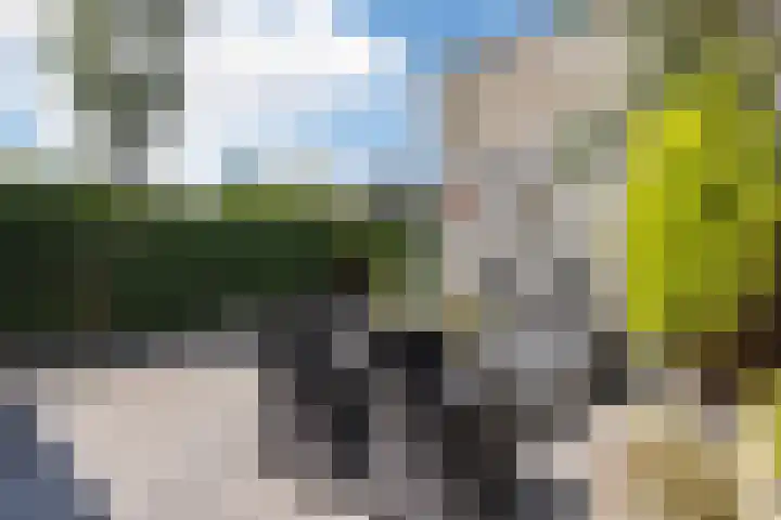 Boterbloem 14 Bodegraven thumbnail 5