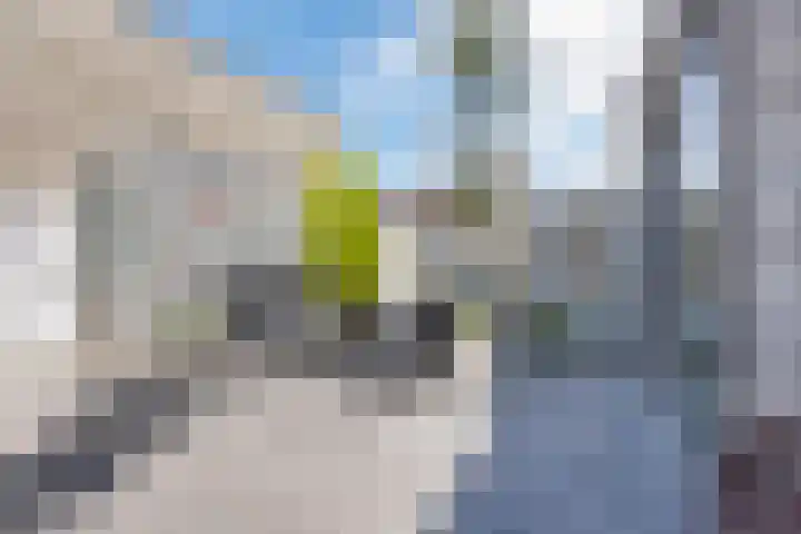 Boterbloem 14 Bodegraven thumbnail 54