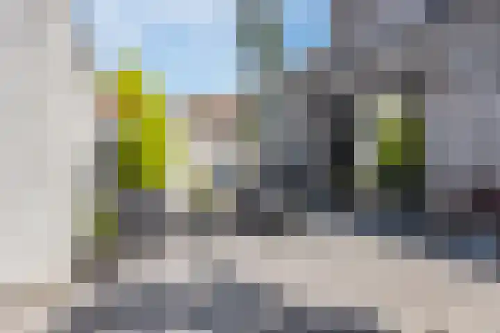 Boterbloem 14 Bodegraven thumbnail 55