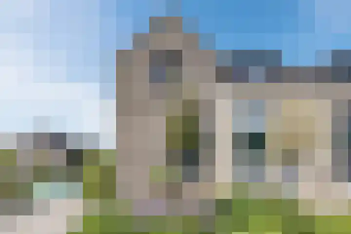 Boterbloem 14 Bodegraven thumbnail 56