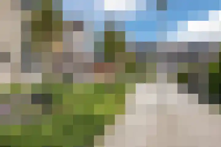 Boterbloem 14 Bodegraven thumbnail 57