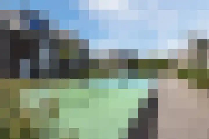 Boterbloem 14 Bodegraven thumbnail 58