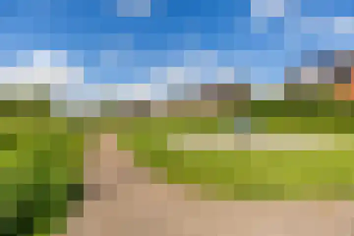 Boterbloem 14 Bodegraven thumbnail 60