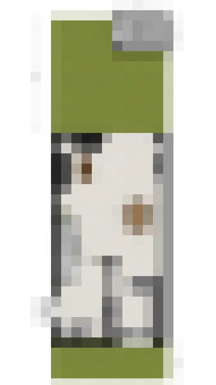 Boterbloem 14 Bodegraven thumbnail 64