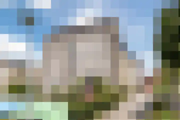 Boterbloem 14 Bodegraven thumbnail 7