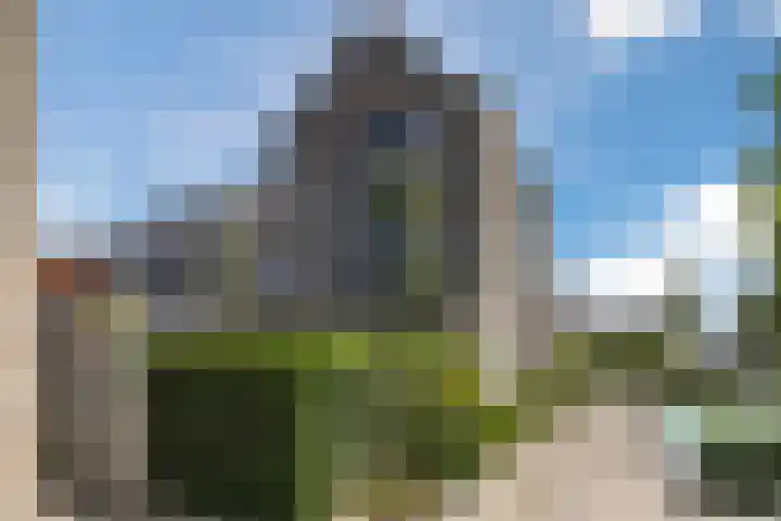 Boterbloem 14 Bodegraven thumbnail 8