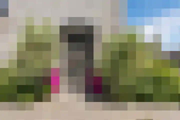 Boterbloem 14 Bodegraven thumbnail 9