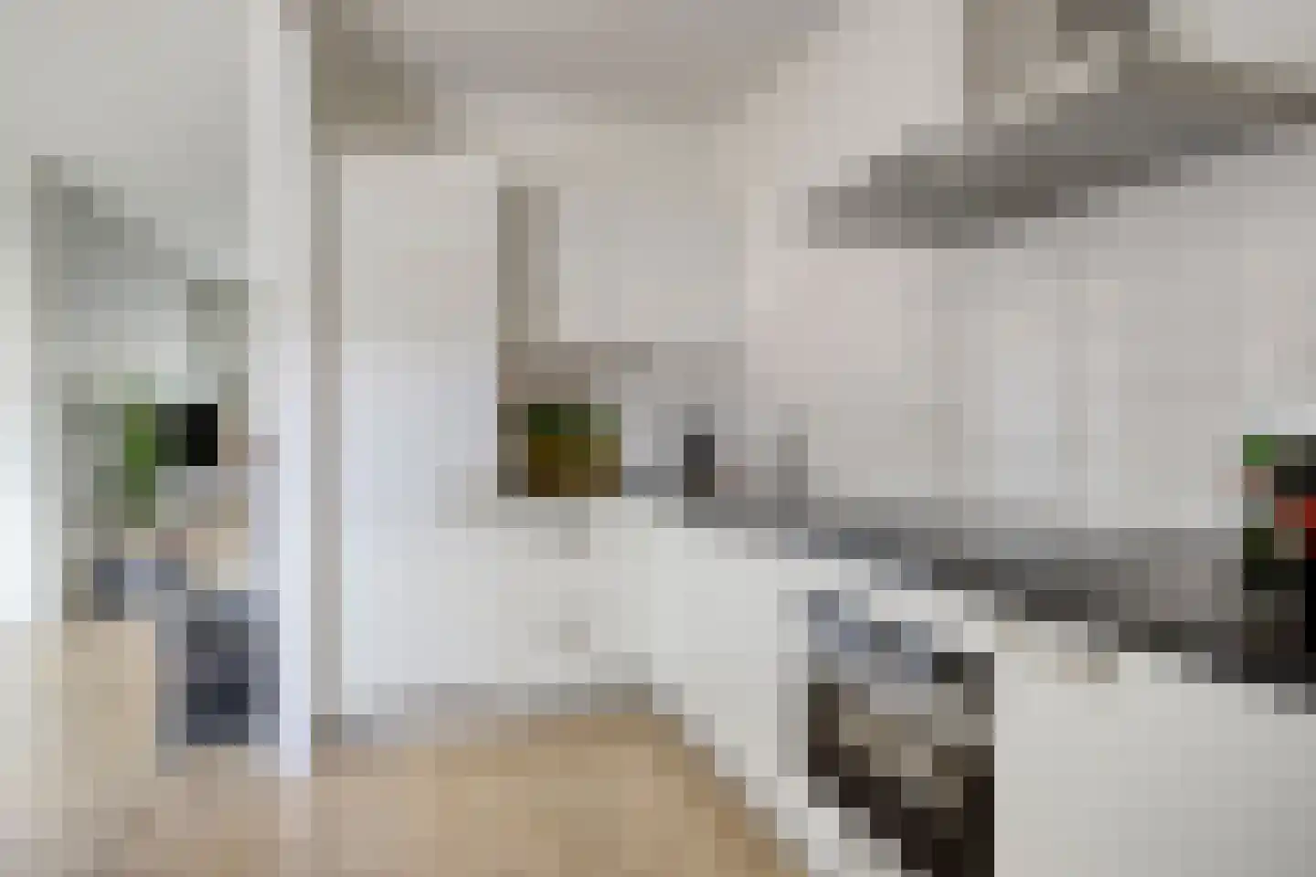 Boterbloem 15 Borne thumbnail 15
