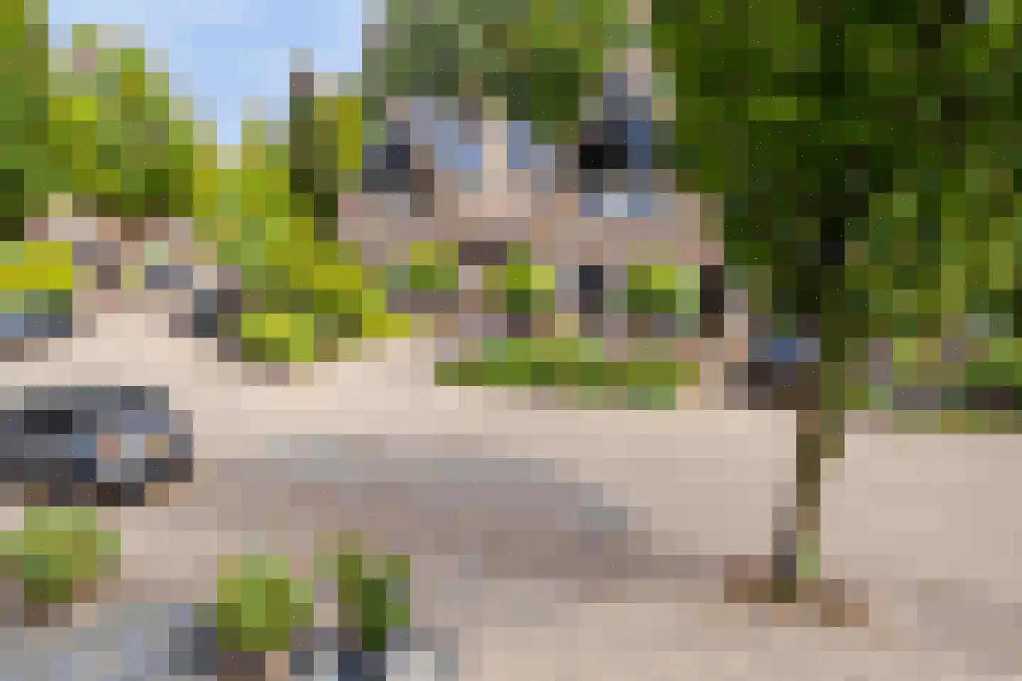 Boterbloem 15 Borne thumbnail 21